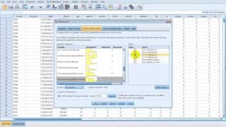 Data Validation  SPSS 21 [upl. by Hitoshi663]