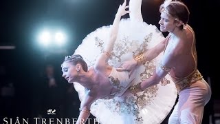 Ave Maya Plisetskaya Russian Ballet Gala London Coliseum March 2016 [upl. by Reizarf]