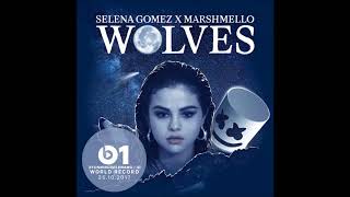 Selena Gomez Talks About Wolves Marshmello New Album Taylor Swift amp More  Zane Lowe  Beats1 [upl. by Zetnom]