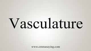 How To Say Vasculature [upl. by Atreb]