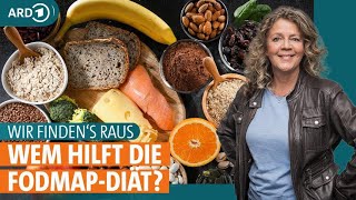 Wem hilft die FODMAPDiät I Wir findens raus  ARD GESUND [upl. by Hen545]