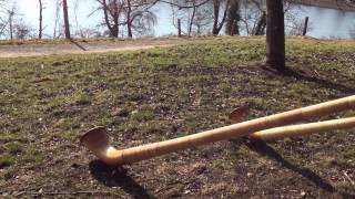 2 Alphorn Players at the Chatzensee in Switzerland [upl. by Cilegna]