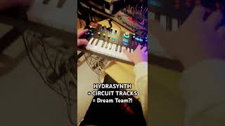 Beginning to really love the AshunSoundMachines Hydrasynth synthesizerlivesetdawlessgroovebox [upl. by Nitsirk]