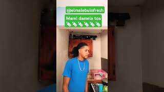 Mami damela toa ElMalebuloFresh [upl. by Ranjiv]