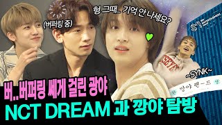 ENJPID NCT DREAM과 오류 제대로 난 광야 아니 깡야 관광 어질어질어질 두통🕹 ㅣ 시즌비시즌 시즌2 EP3 [upl. by Malvina]