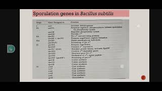 Physiological and genetic aspect of Sporulation Saini learning Classes [upl. by Pepper]