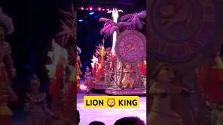 I Just Cant Wait To Be King  Lion King Show Disney World Animal Kingdom shorts disneyworld [upl. by Denby]