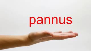 How to Pronounce pannus  American English [upl. by Astred]