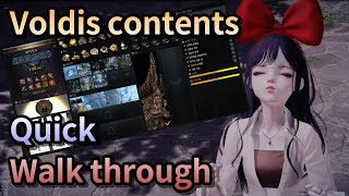 Lost Ark All Voldis contents quick walk through [upl. by Sel199]