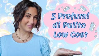 5 Profumi di Pulito Top Low Cost [upl. by Eitsym]