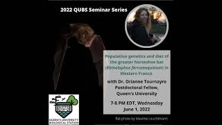 Dr Orianne Tournayre QUBS Summer Seminar 2022 [upl. by Homans]