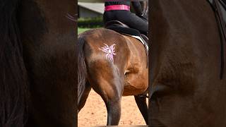 Create your own mylittlepony and glitter your horse equestrian eventing horseriding rodeo [upl. by Smitt]