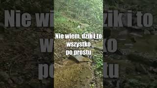 UWAŻAJ na STRUMYKI w lesie 💦  GRUPA NOMAD [upl. by Kenney]