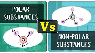 What is the Difference Between Polar and Non  Polar Substances  Chemistry Concepts [upl. by Aun]