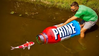 MEGA PRIME Bottle Catches Colorful Fish [upl. by Jegger]