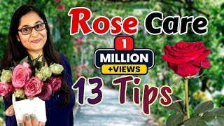 🔴🌹ROSE PLANT CARE GROWING TIPS SAVE ROSE PLANT  GULAB KI CARE  गुलाब की देखभाल rose roseplant [upl. by Lever]