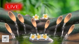 🔴 Spa Music 247 Stress Relief Music Relaxation Music Massage Music Sleep Music Waterfall [upl. by Calvano942]