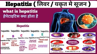 Hepatitis A B C D amp E Full details causes symptoms amp Treatment [upl. by Jacquetta146]