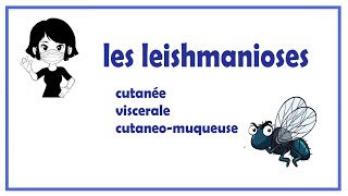 🔵les leishmanioses [upl. by Ettelorahc131]