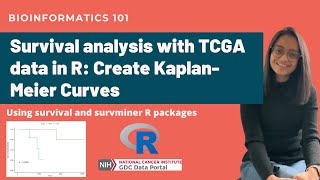 Survival analysis with TCGA data in R  Create KaplanMeier Curves [upl. by Kathryn791]