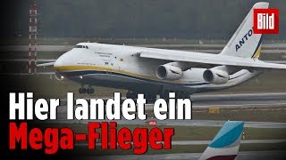 Seltener Besuch landet in Düsseldorf  RiesenFlieger Antonov 124 [upl. by Chamberlain691]