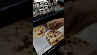 Electric tandoor tandoori parantha food tasty recipe delicious trending shorts funquick [upl. by Uttasta]