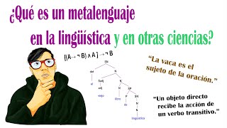 El metalenguaje en la lingüística y en otras ciencias [upl. by Redliw60]