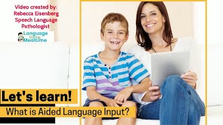 Aided Language Input [upl. by Melany442]