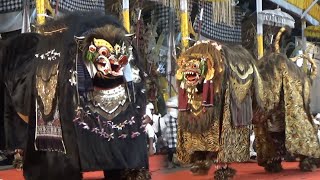 BARONG MACAN VS BARONG BANGKUNG Di Mengwitani Badung BALI [upl. by Hamlin]