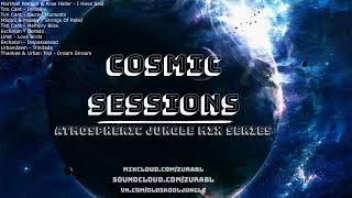 9Cosmic Sessions 9  Dream Stream [upl. by Adyam]