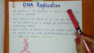 DNA Replication  Class12 Biology Notes  Molecular basis of inheritance Chapter6 [upl. by Knah455]