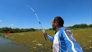 No final da pesca caipira peguei um peixe inusitado foi de arrepiar [upl. by Eannyl35]