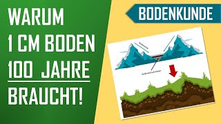 Wie entsteht Boden Acker  BodenkundeGeologie  kurzes Erklärvideo [upl. by Ahtenak]