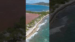 Vieques PR🇵🇷 camjaavideos vieques puertorico cinematic footage [upl. by Aynwat530]