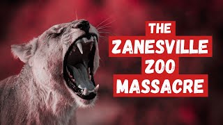 Zanesville Zoo Massacre  Ohio Wild Animal Escape [upl. by Hijoung]