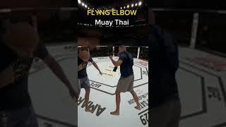 Muay Thai Capoeira judô [upl. by Sivolc]