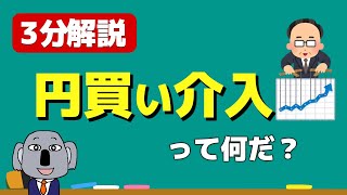 【3分解説】円買い介入って何をしてるの？本当に効果はあるの？ [upl. by Cathee]