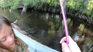 Fishing The Edisto River [upl. by Livvyy]