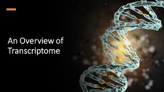 An Overview of Transcriptome [upl. by Derej]