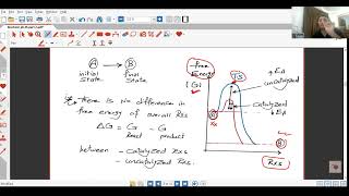 Biochemistry Enzymes [upl. by Rooke]