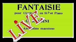 Rossini Fantaisie pour clarinette et piano live  S Del Mastro clarinet R Caramella piano [upl. by Llenyr]