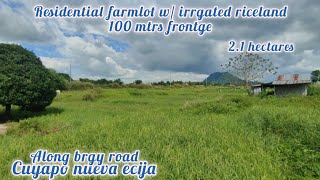 lot427 Residential farmlot 21has 12klmtrs from provencial road 150 sqm cuyapo nueva ecija [upl. by Melc]