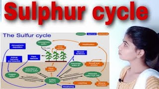 sulphur cycle Bsc III paper III unit II [upl. by Jerry]