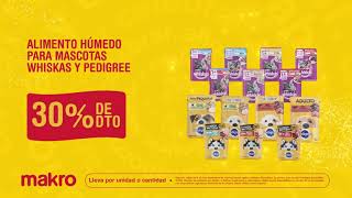 Celebremos juntos el AniversarioMakro29 ¡Encuentra ofertas increíbles cada semana [upl. by Trstram]