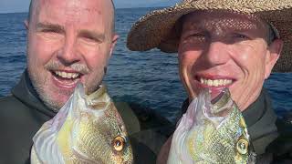 Croatia 2024  Spearfishing Holiday [upl. by Durrej]