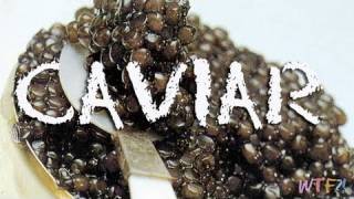 What Is and How to Eat Caviar Caviar 101 [upl. by Annaitsirhc]