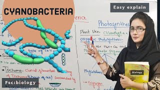 Cyanobacteria class 11 characteristics of cyanobacteria fsc biology  urdu hindi [upl. by Oika]