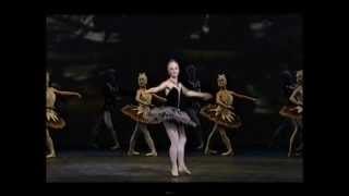 Pyotr Ilyich Tchaikovsky quotBallet Imperialquot [upl. by Rahsab]