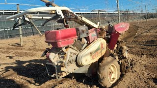 beans boy is live Morning Plowing the field  Day 1 [upl. by Uird]