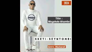 Awugqoze tshitshi Lami 2024 Official Audio [upl. by Yhpos213]